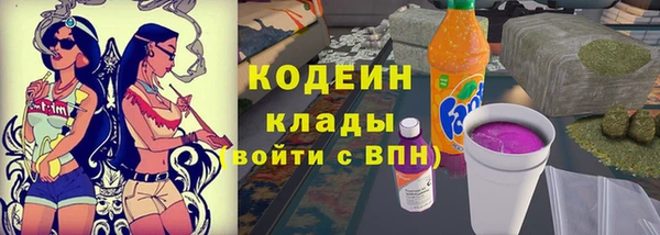 крисы Армянск