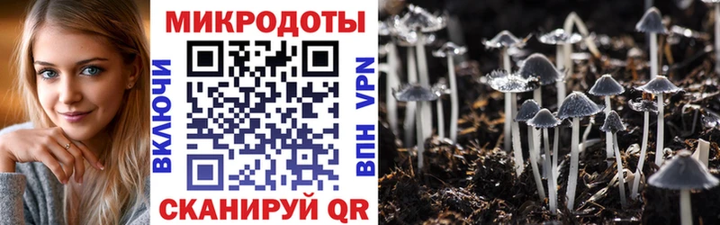 omg зеркало  даркнет клад  Псилоцибиновые грибы мухоморы  Ликино-Дулёво 